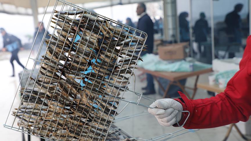 Rize'de 2 gnde ayklanan 1,5 ton hamsi 2 saatte tketildi