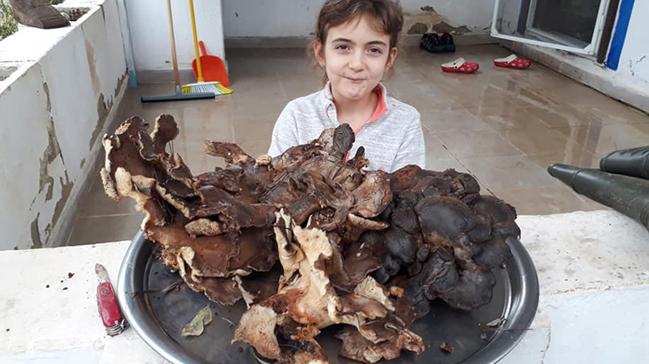 Bodrum'da bulunan 5 kilo 700 gramlk mantar artt
