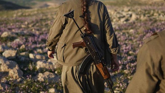 Diyarbakr'da PKK'l bir terrist yakaland