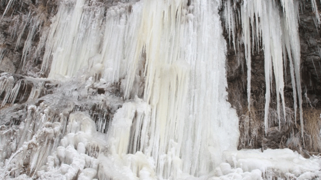 Ardahan'da souk hava nedeniyle elale dondu