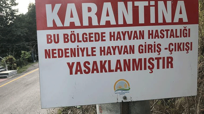 Hatay'da kuduz karantinas