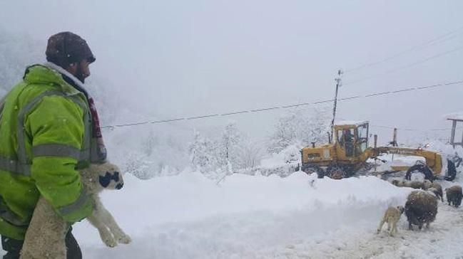 Ordu'da mahsur kalan obanlar kurtarld