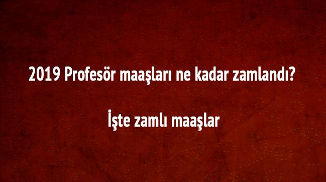 Profesr maalar ka TL yeni zam listesi 2019 Profesr maa son dakika ne kadar oldu 