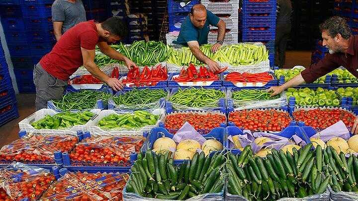 Egeli ya meyve sebze ihracatlarnn milyar dolar hedefi