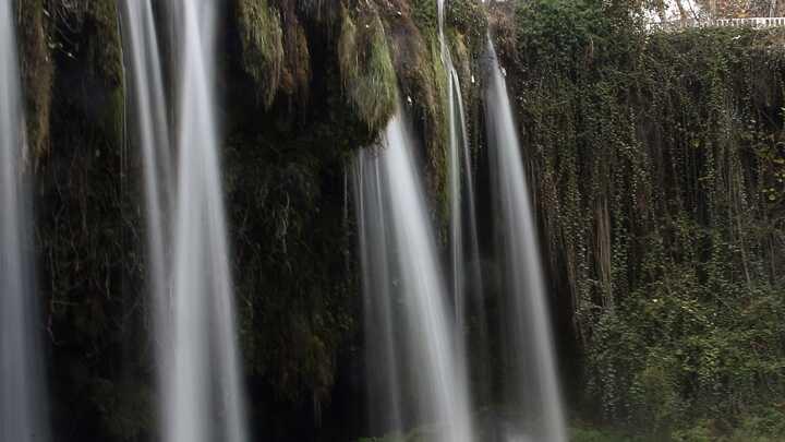 Dden elalesi kn da turistlerin gzdesi