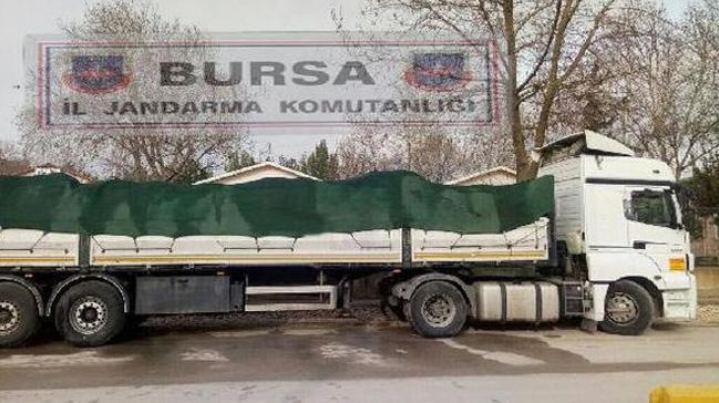 Bursa'da 19 ton kaak midye ele geirildi