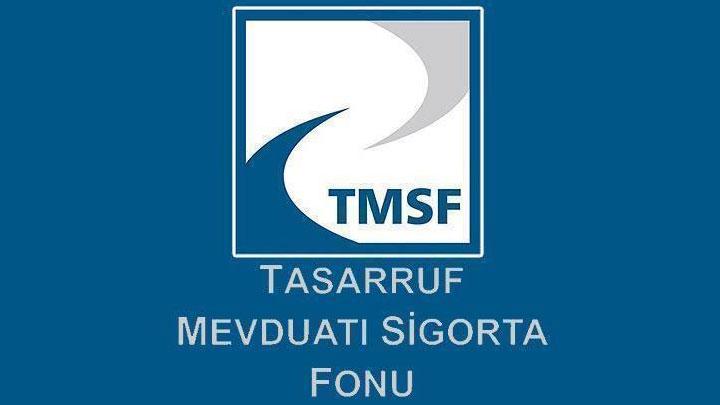 TMSF'ye geen 'sorunlu irketler' satlacak