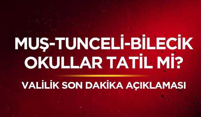 Tunceli Mu Valilii son dakika 16 Ocak Tunceli Mu Bilecik kar tatili var m okullar tatil mi 