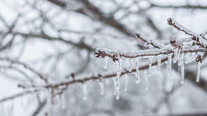 Meteoroloji 4 il iin buzlanma ve don uyars yapt