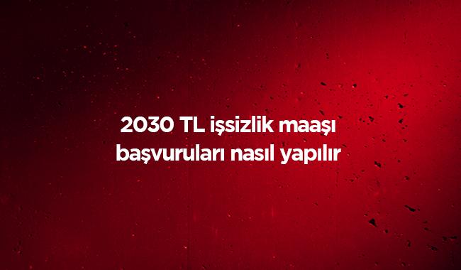 2019 isizlik maa son dakika alma artlar 2030 TL isizlik maa bavurular nasl yaplr" 