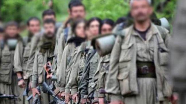 Teslim olan PKK'l terrist, rgtn gerek yzn anlatt