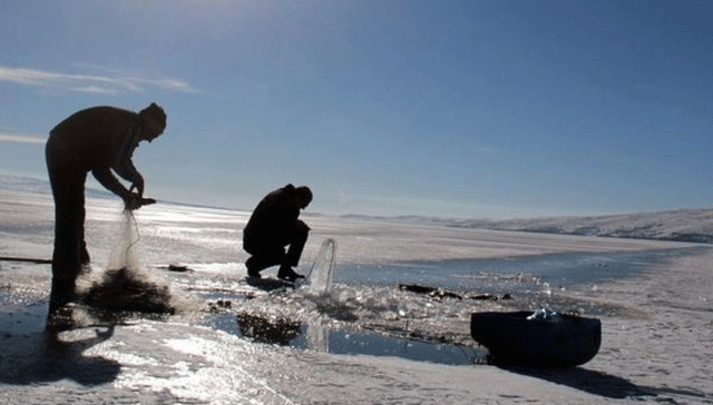 Doğu Anadolu'da Eskimo usulü balık avı