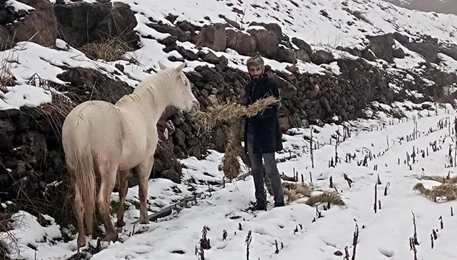 Hayvanlar a kalmasn diye yem torbalarn 10 kilometre srtnda tad