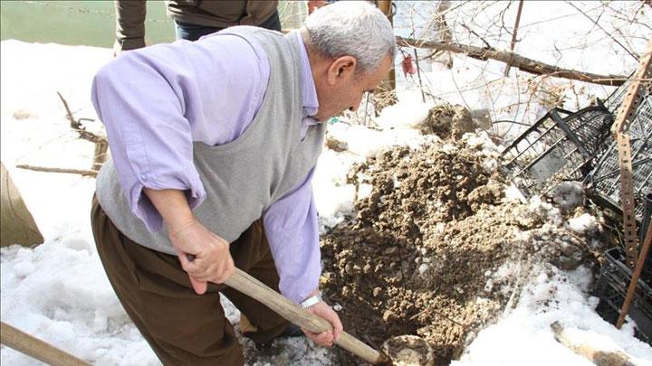 Hakkari'de yazn bidonlarla topraa gmlen st rnleri karlmaya baland