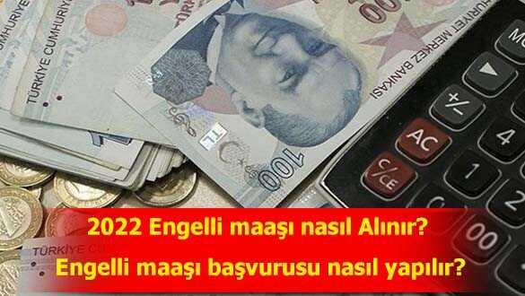 Engelli Maasi Basvuru Sartlari Nasil Yapilir 2022 Engelli Maasi Nasil Alinir
