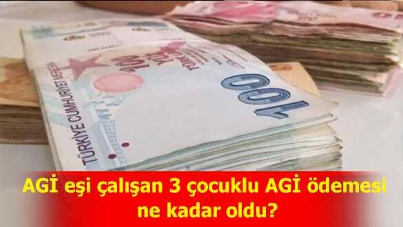 AG ei alan 3 ocuklu AG demesi ne kadar oldu"