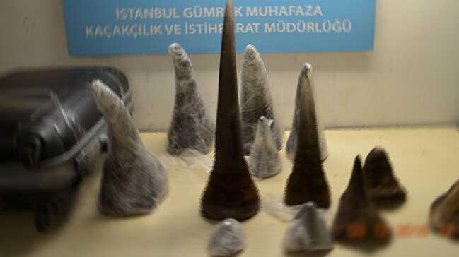 Atatrk Havaliman'nda 14,5 milyon TL deerinde 21 adet gergedan boynuzu ele geirildi