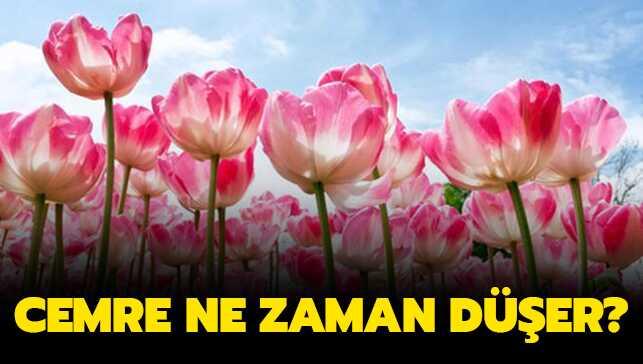 0 fotoraflar resimleri