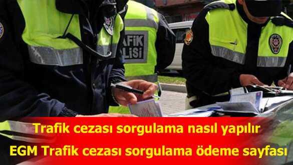 EGM Trafik cezas sorgulama deme sayfas