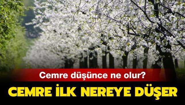 2019 Cemre 2019 Cemre dnce ne olur  2019 Cemre son dakika ilk nereye der   fotoraflar resimleri