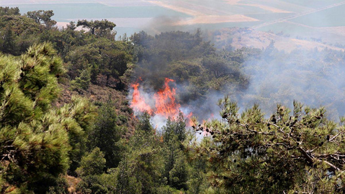 Terr rgt PKK orman yakp antiyelere saldrd