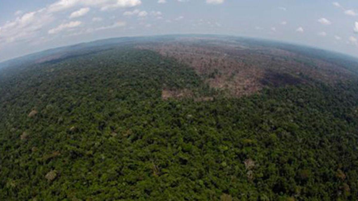 Peru Amazon ormanlarn askerlerle koruyacak       