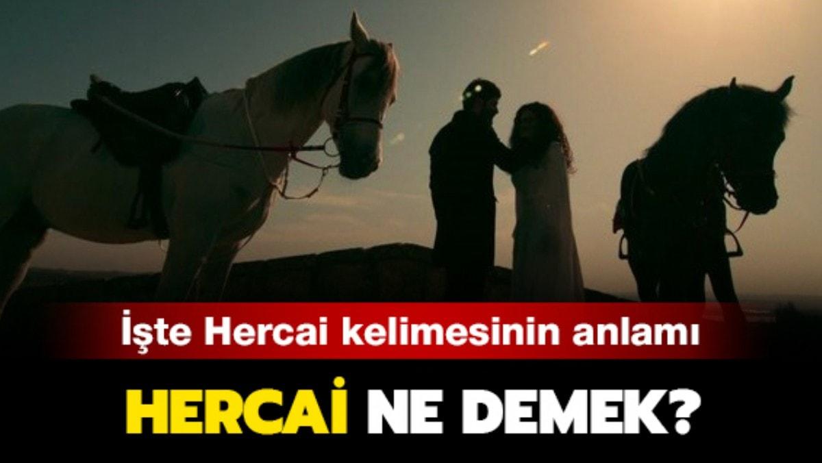 Hercai kelimesinin anlam nedir" Hercai nedir, ne demektir"