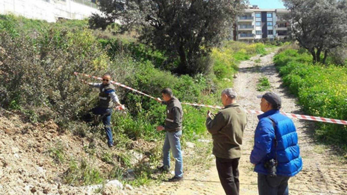 Yaban domuzu ehrin merkezinde doum yapt