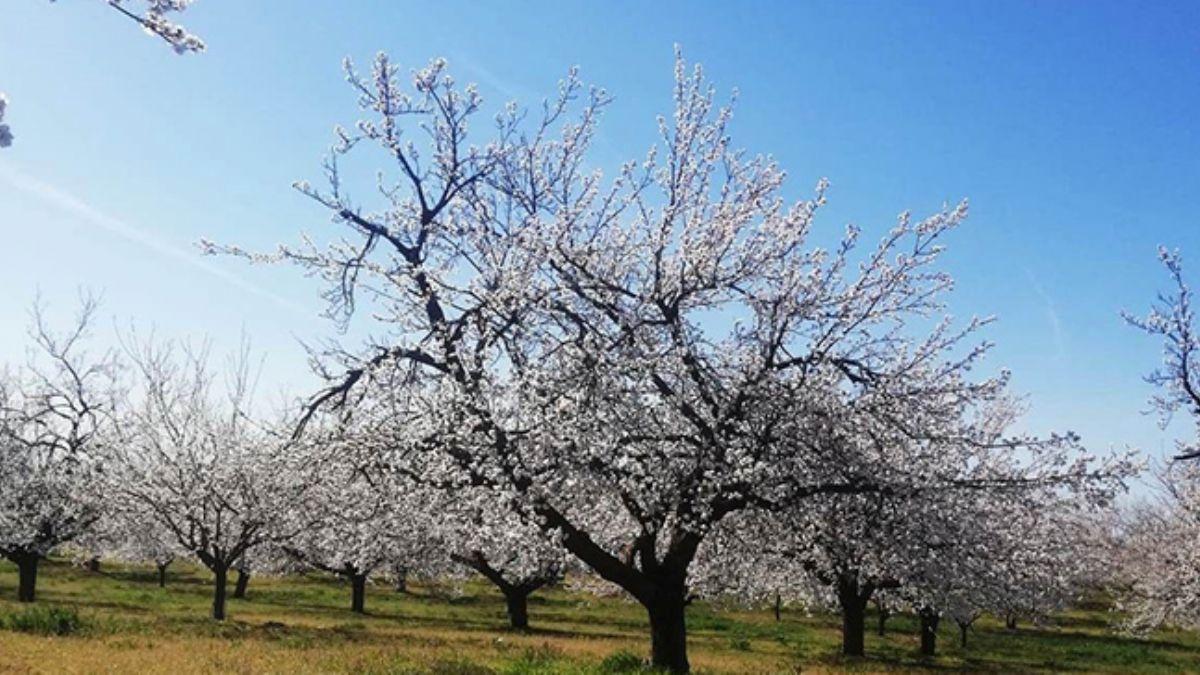 Malatya Ovas gelin gibi sslendi