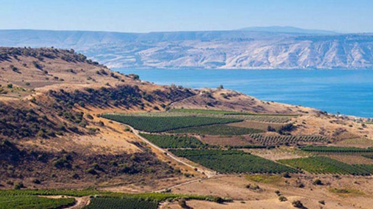 Ardan Zentrk: Golan Tepelerinin altnda ok byk petrol yataklar var