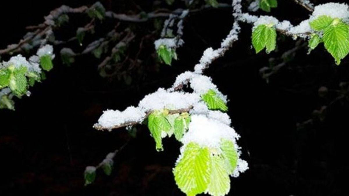 Meteoroloji Bursa iin zirai don uyars yapt