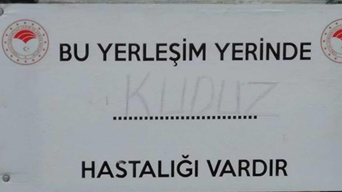 Kütahya�nın Simav İlçesi�nde kuduz tehlikesine karşı karantina başlatıldı