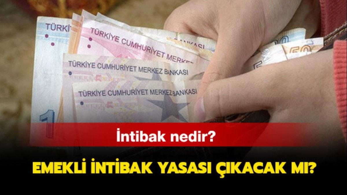 ntibak nedir, ne demek" ntibak Yasas 2019 kacak m"