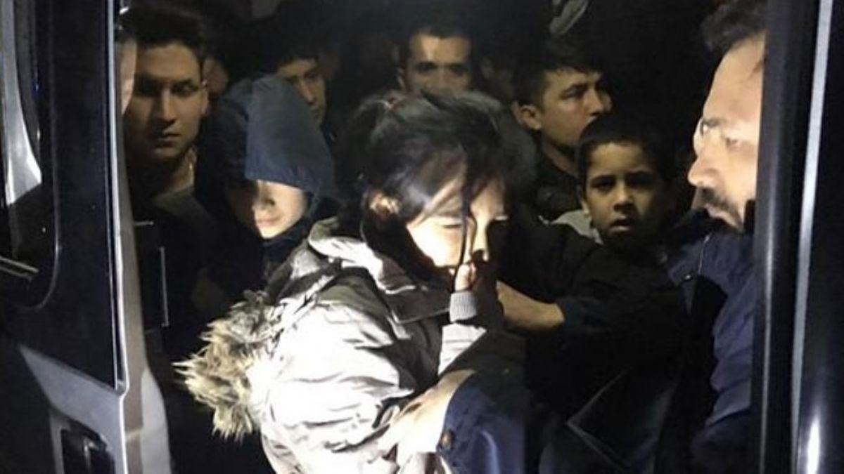 Edirne'de 84 dzensiz gmen yakaland