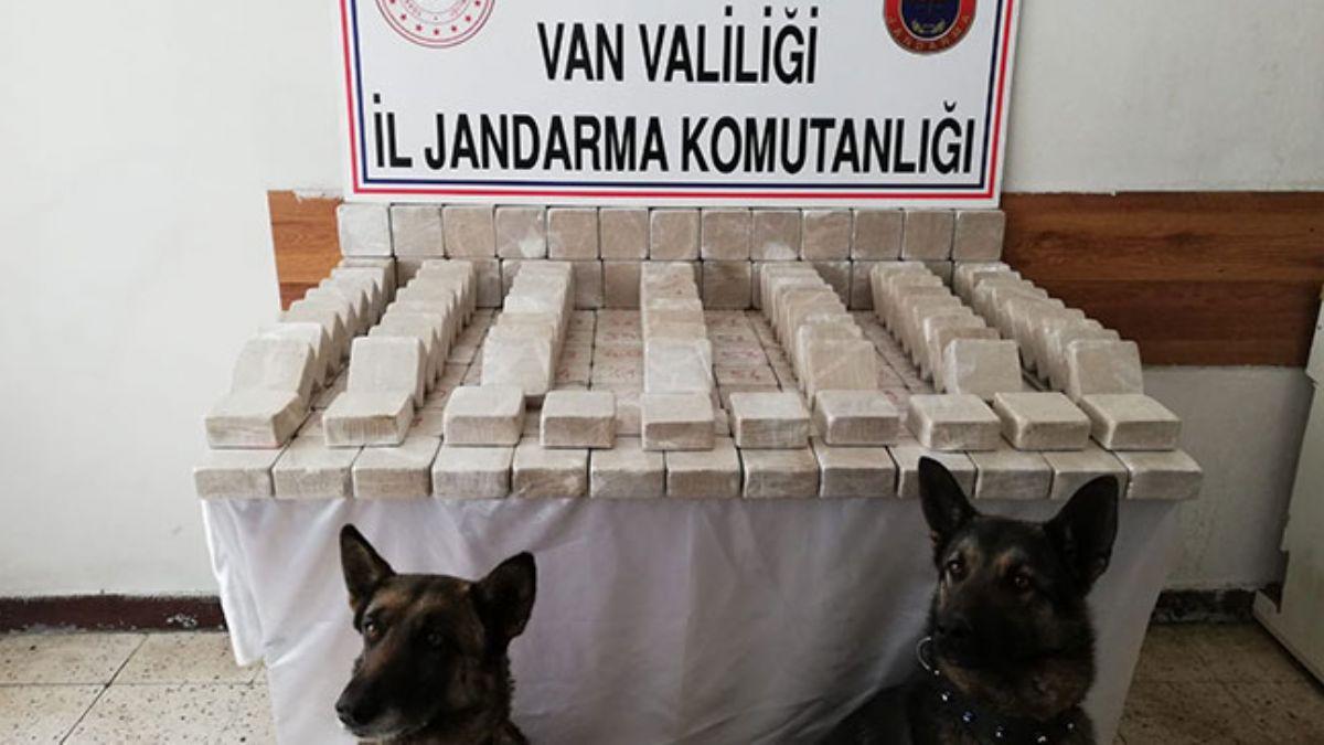 101 kilo eroin narkotik kpekleri Alem ve Barut'a takld