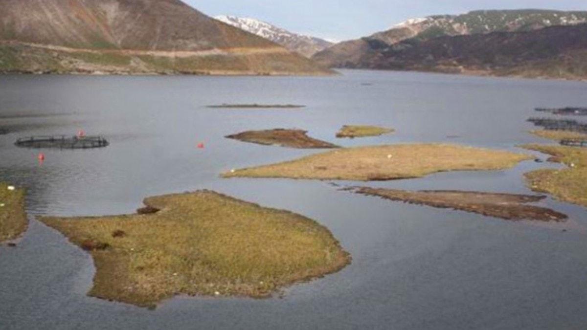 Adyaman'da at Baraj zerinde bulunan adalar, tekrar yzmeye balad