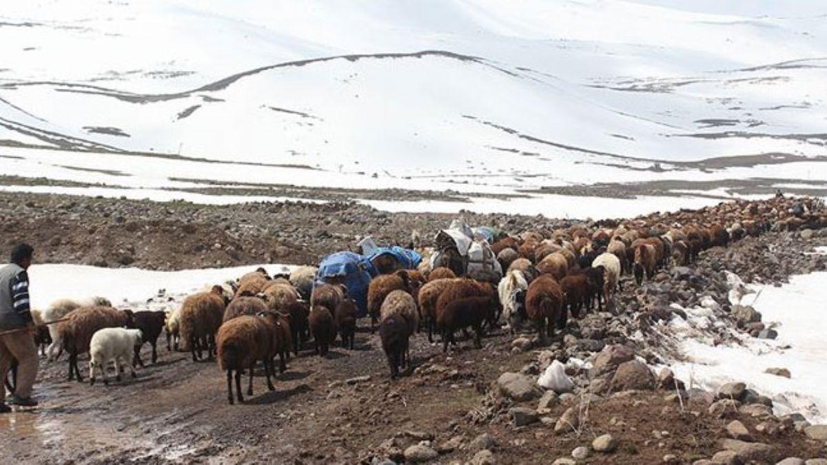 Gerlerin karl dalardaki zorlu yayla yolculuu