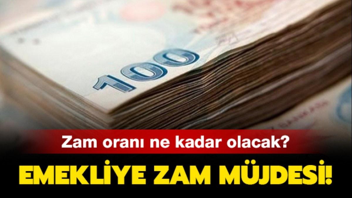 Emekli maa zamm ne kadar olacak"