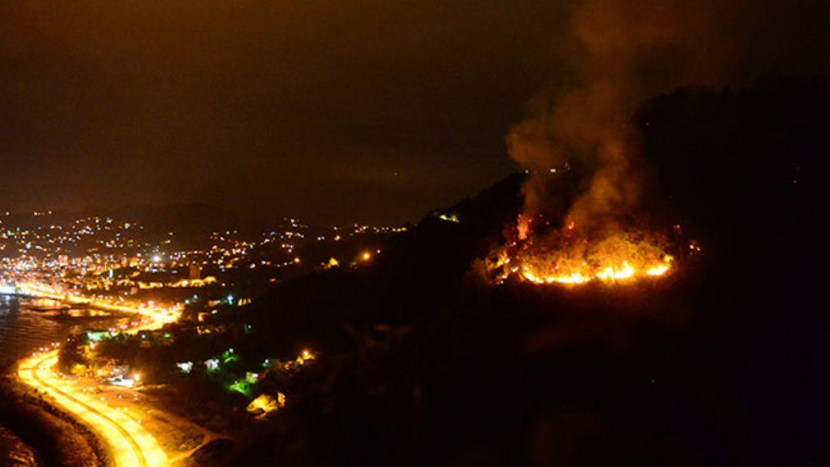 Giresun'da orman yangn