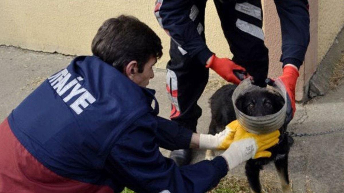 Ba su bidonuna skan kpei, itfaiye kurtard