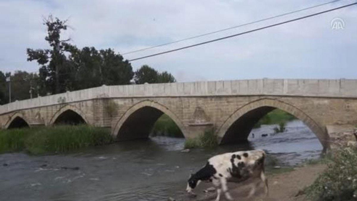 Meri Nehri kysnda bebee ait kemikler bulundu