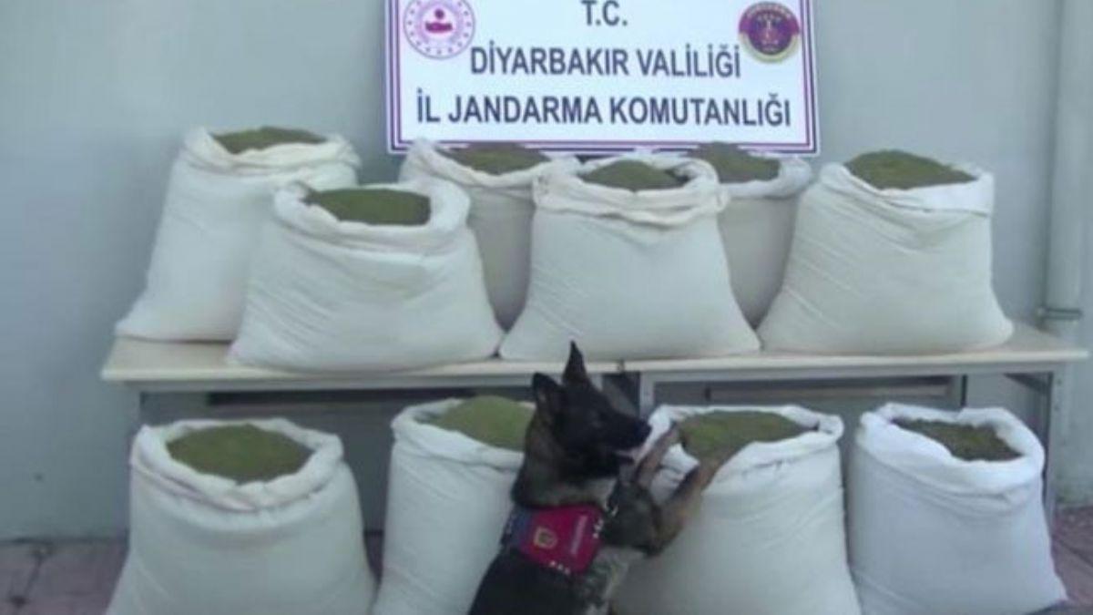 Diyarbakr'da 346 kilogram esrar ele geirildi