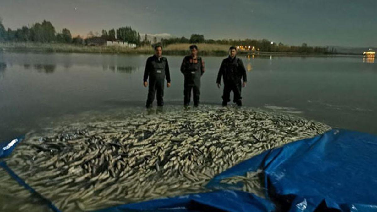 Van'da 3 ton kaak avlanm balk ele geirildi