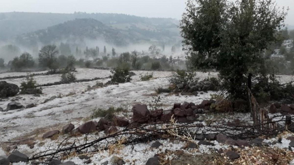 Manisa'da dolu tarm arazilerine zarar verdi