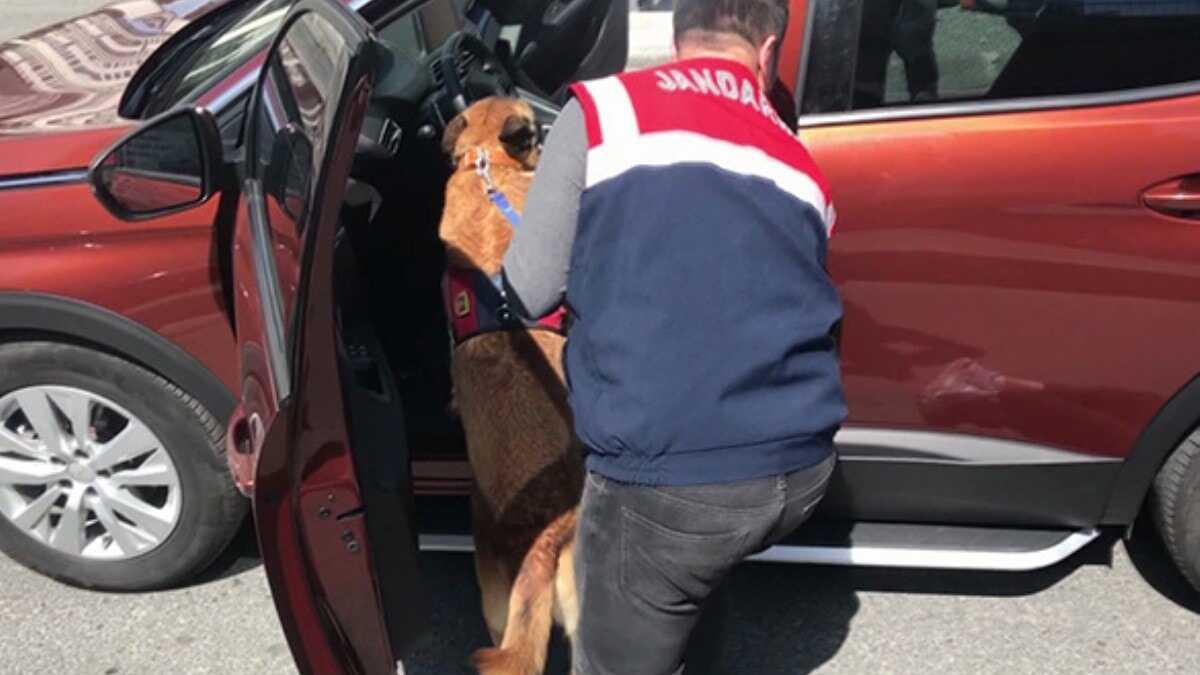 stanbul'da uyuturucu operasyonu: 60 bin hap ele geirildi