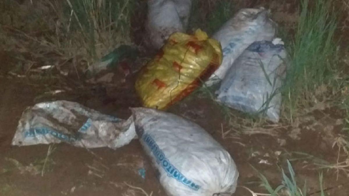 Van'da jandarma ekipleri 510 metre manyat a ile bin 250 kilo inci kefali ele geirdi 