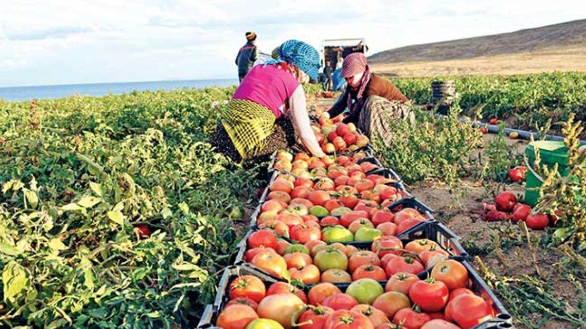 Cari akta d 'VME' kazanacak