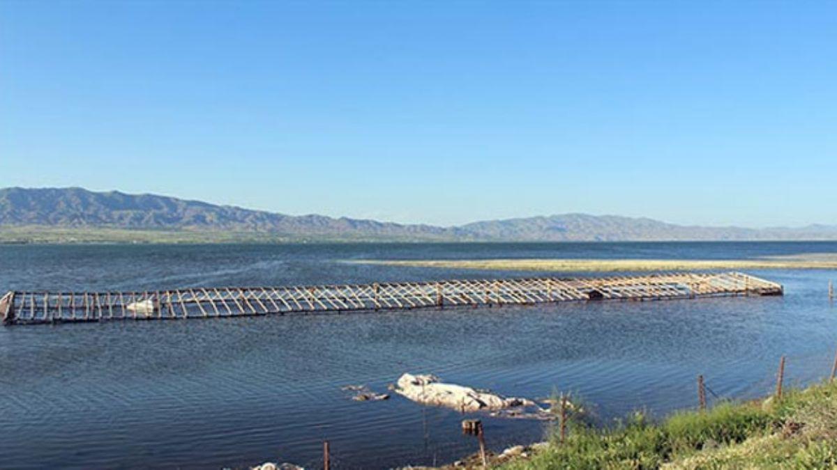 Elaz'daki Keban Baraj havzas doldu, tarlalar suya gmld