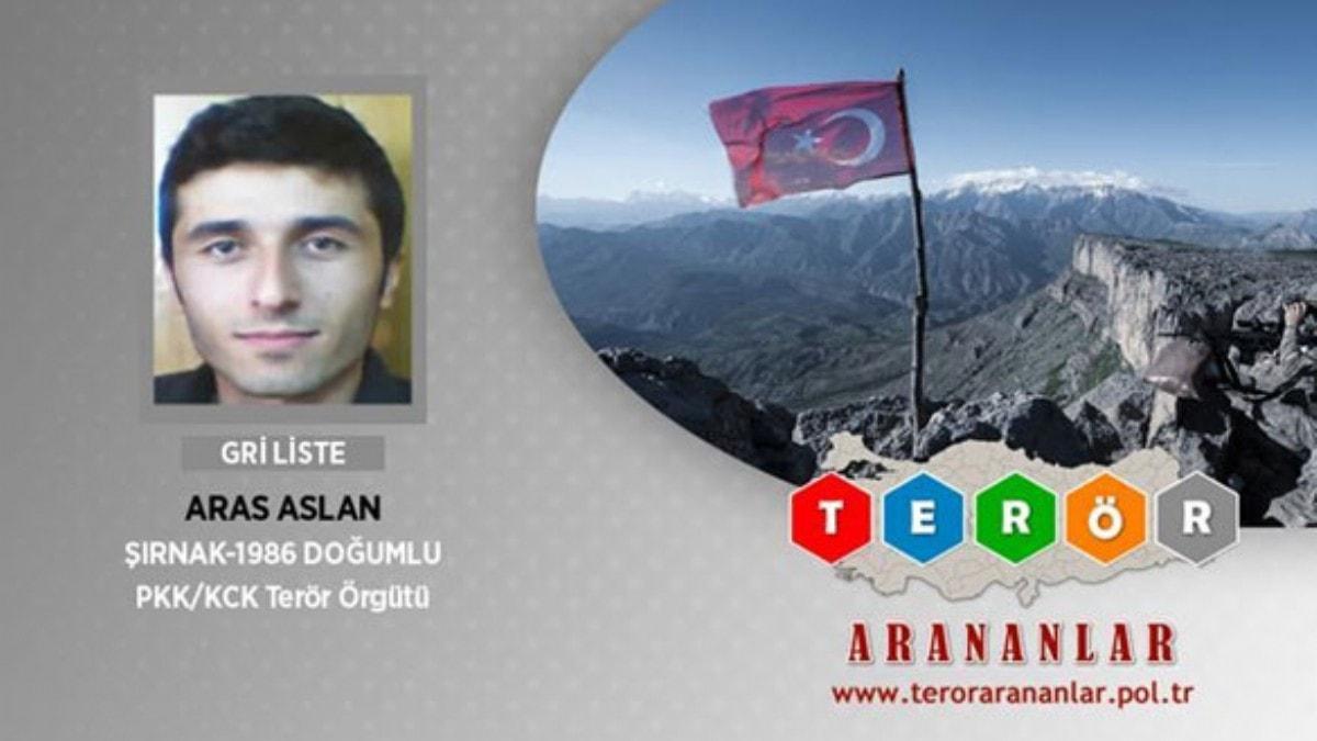 Giresun'da yakalanan terrist tutukland