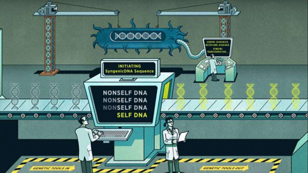 Yeni genetik mhendislik stratejisi, insan yapm DNA'y grnmez klyor